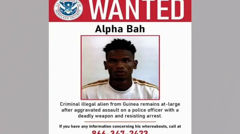 Manhunt underway for violent illegal immigrant who was released under NYC sanctuary policies